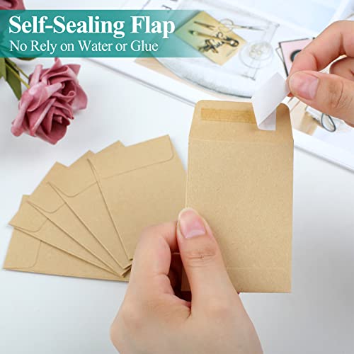 Joyberg One Size Coin Envelopes 2.35x3.5 inch Brown Kraft Small Seed Packets