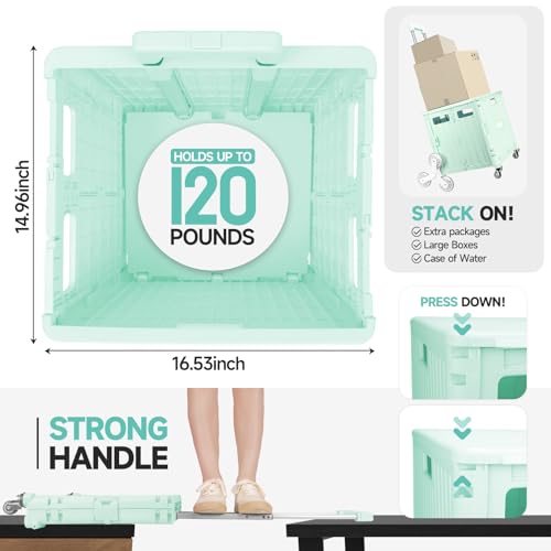 Foldable Rolling Crate for Stair Climbing : Utility Cart for Grocery File Office Book (Light Green)