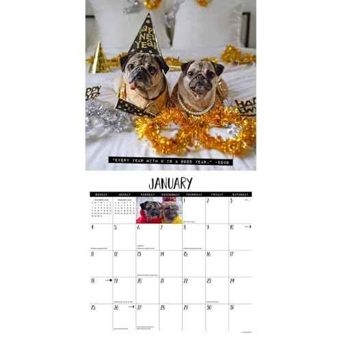 Willow Creek Press, Doug the Pug 2026 Wall Calendar, 12'' X 12'', 18-Month Calendar with Stapled Binding