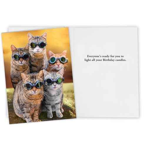 Funny Cat Birthday Card for Women, Men, Family, Friends - Hilarious card for a bright candle birthday celebration!