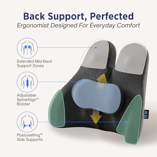 Lumbar Support Pillow for Office Chair - Lower Back Pain Relief Cushion with Adjustable SpineAlign¢â Bolster, Memory Foam Pillow for Car, Couch, Gaming Seats - Dual Straps, Dark Grey