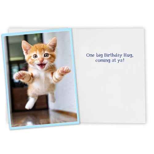Funny Cat Birthday Hug Card for Women, Men, Coworkers and Anyone and All Ages Ready to Party