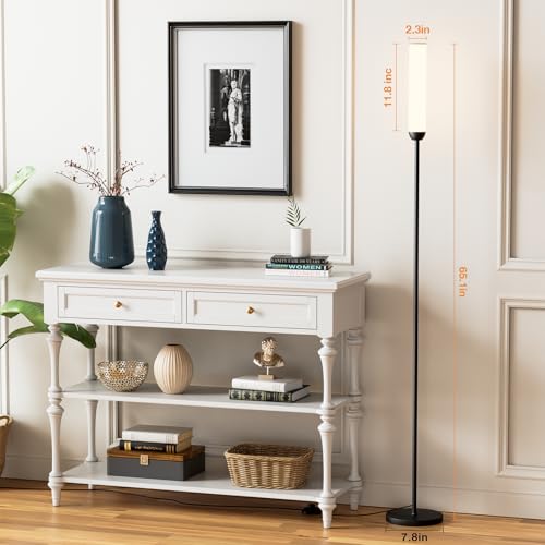 Ambimall Black 65-Inch LED Floor Lamp with Remote & Foot Switch