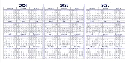 Ramist 10 Pcs Larger Lines Check Registers for Personal Checkbook 2024-2026 – 3 x 6" 26 Pages, 232 Large Lines
