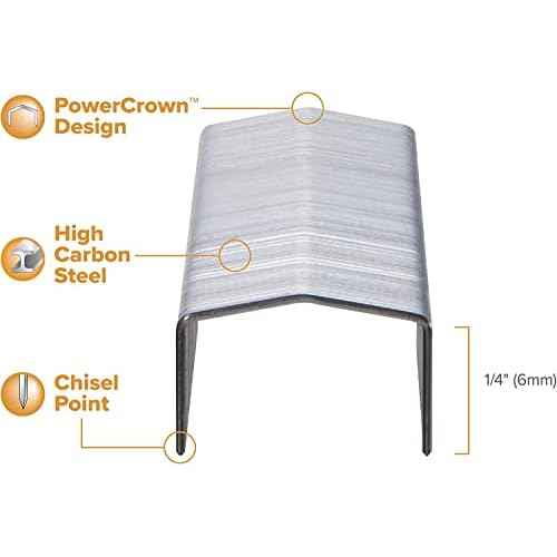 Bostitch B8 Staples 1/4 Inch PowerCrown Staples - Pack of 20,000