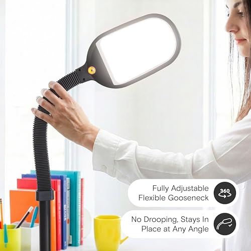 Brightech Litespan LED Floor Reading Lamp - Black, Adjustable Gooseneck