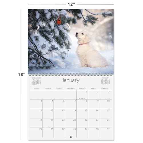 Current 2026 Seasons Wall Calendar, 12-Inch x 9-Inch Size Closed, 18-Inch Size Open, Large Bookstore-Quality, Spiral-Bound Hanging Monthly Wall Calendars for Kitchen & Office