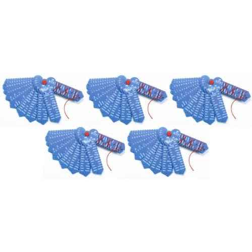 LEARNING WRAP-UPS SELF-CORRECTING US States & Capitals Keys 5 Pack