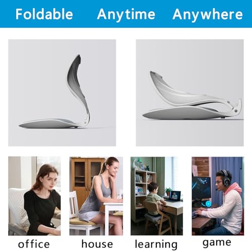 CHANGFENG Lumbar Ergonomic Support for Office Chair Back Lumbar Support for Computer, Gaming Chair Back Cushion for Back Pain Relief Improve Posture,and Work from Home, Patented (Gray)