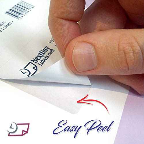 NextDayLabels - 8-1/2" x 11 24# Integrated Label Form with a 6x4 on Bottom Left (500)