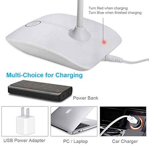 DEEPLITE LED Desk Lamp with Flexible Gooseneck 3 Level Brightness, Battery Operated Table Lamp 5W Touch Control, Compact Portable lamp for Dorm Study Office Bedroom(Set of 2)