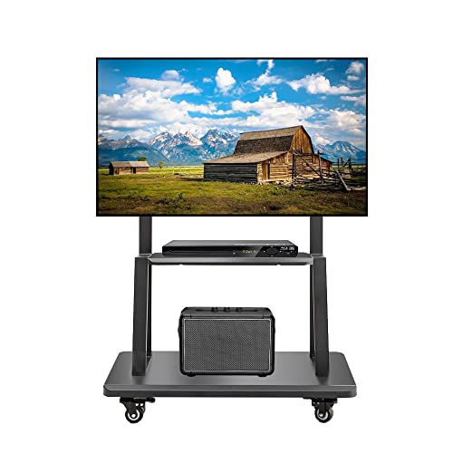 Hellsehen 32-75 Inch Mobile TV Cart on Wheels, Heavy-Duty Rolling TV Stand with 220lbs Capacity