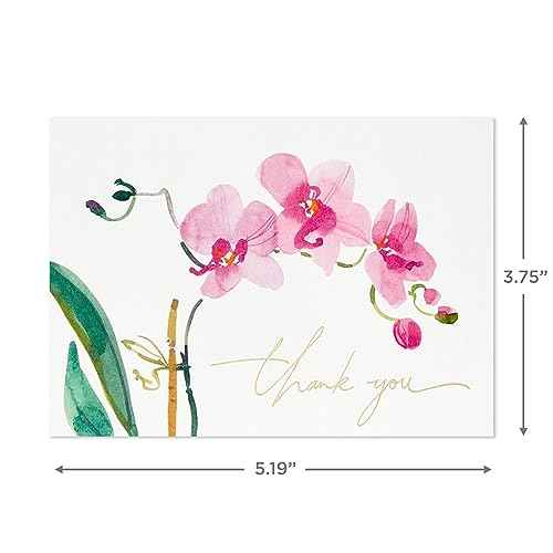 Hallmark Pink Orchid Thank You Notes (20 Blank Cards with Envelopes) for Bridal Shower, Baby Shower, Wedding, Birthday