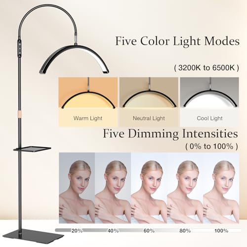 Lash Light, 23-Inch Half Moon Light for Eyelash Tech, Nail Tech, Tattoo Artist, and Estheticians, Flexible Gooseneck LED Moon Lash Lamp, Adjustable Brightness and Height, with Tool Tray (Black)