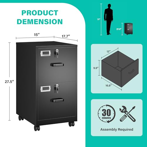SISESOL Black 2-Drawer Mobile File Cabinet with Lock, Under Desk Office Storage