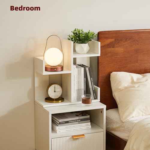 Small White Desk Organizer, 2 Tier Tree Cactus Bookshelf, Desktop Organizer Wood, Small Plant Shelf White YD-DSR002W