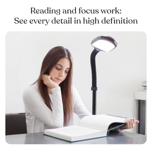 Brightech Litespan LED Floor Reading Lamp - Black, Adjustable Gooseneck