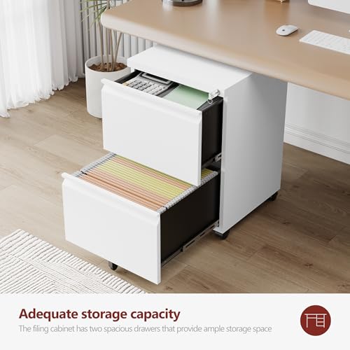 RAVIGIN 2-Drawer Mobile File Cabinet with Lock, Fully Assembled, White