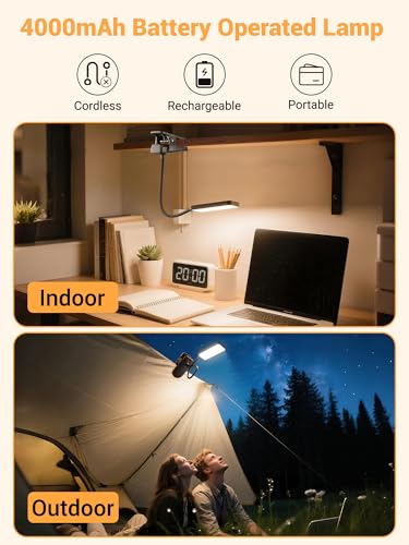 ReinHoo Black Clip-On Rechargeable Desk Lamp with 45 Lighting Modes