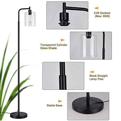 Depuley Black Floor Lamp, Industrial LED Floor Lamps with Hanging Glass Shade, Farmhouse Standing Lamp Modern Tall Pole Lighting for Living Room, Bedroom, Office, Study Room, E26 Bulb Included
