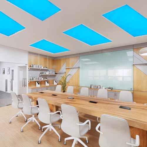 5Pack Fluorescent Light Covers-2x4ft,10 Strong Magnets,Improves Focus, Reduces Headaches & Provides Fluorescent Relief Light Covers for School Classroom Home Office (5)