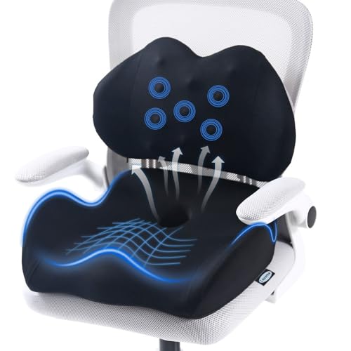 Lexeme Black Extra Large Memory Foam Seat Cushion & Lumbar Support Pillow for Sciatica & Tailbone Relief
