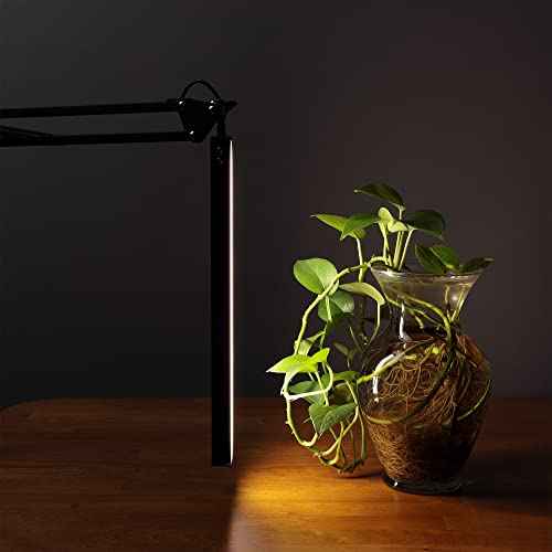 Acurit LED Swing Arm Desk Lamp - Flexible Durable Desk Lamp for Offices, Desks, Workspace, Artists, Vloggers, & More!