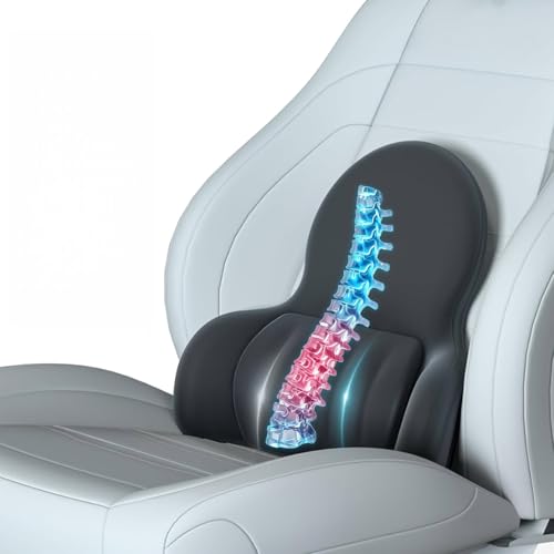 2025 Upgrade Lumbar Support Pillow for Office Chair Car Back Support Pillow 45D Slow Rebound Memory Foam Gaming Chair Desk Chair Back Cushion for Lower Back Pain Relief Dynamic Support Module