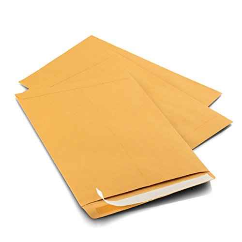 Aimoh 9 X 12 Self-Seal Brown Kraft Catalog Mailing Envelopes - 28lb - 100 Count, 9x12 Inch (38300)