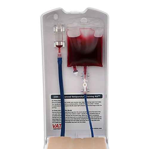 Advanced Four-Vein Venipuncture Training Aid - Dermalike II Latex Free