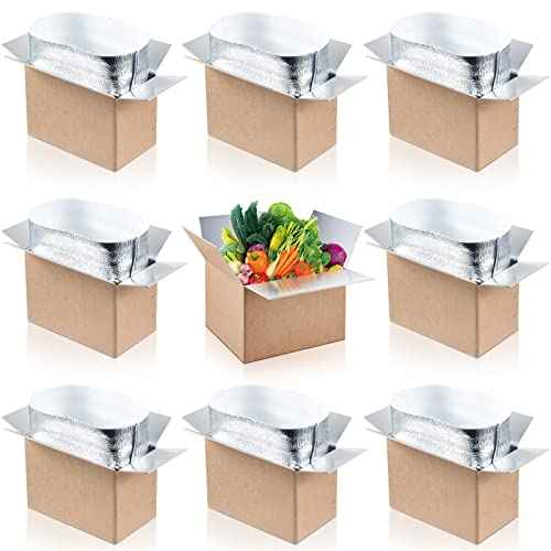 Nuanchu 10 Pieces Insulated Shipping Boxes Double Insulated with Aluminum Foil Liner 9" x 5" x 6" Cold Chill Thermal Insulation Reusable Small Mailing Box for Cold Food, Shipping, Mailing, Packing