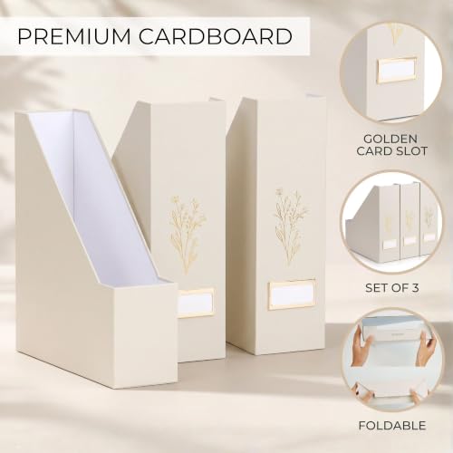 Beige Magazine Holder Set of 3 - Stylish Desk File Organizers by ZICOTO