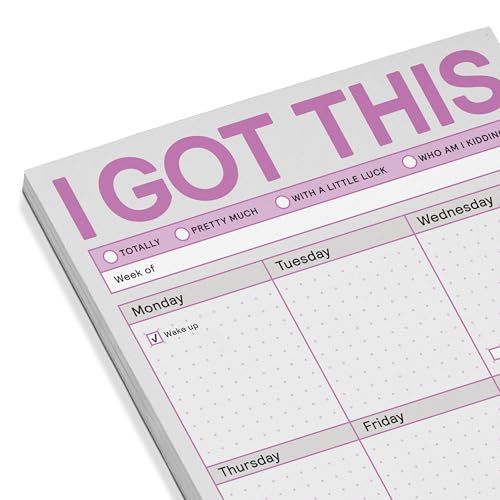 Knock Knock 6-Count I Got This Pads, To Do List Notepads, Daily Planner Pads & Funny Home Office Supplies, 6 x 9-inches