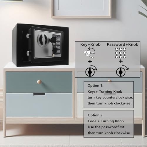 Yuanshikj Small Black Steel Security Safe Box with Digital Keypad & Emergency Keys, 0.23 CuFt