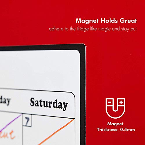Volcanics Magnetic Fridge Calendar 16.9" x 11.8" Monthly Planner Whiteboard