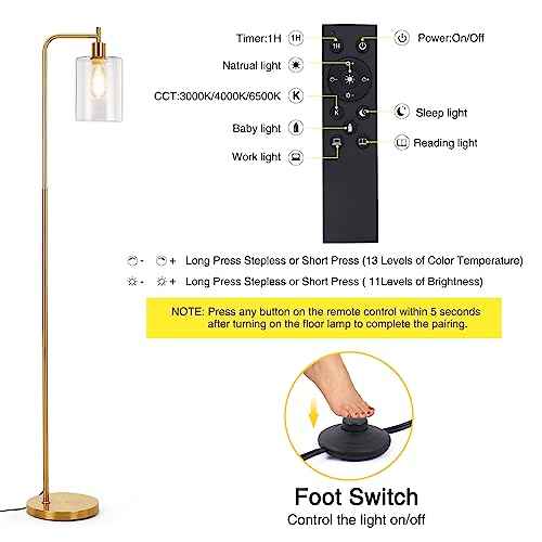 Litake Industrial Floor Lamp- Gold, Dimmable Modern Standing Lamp with Clear Glass Shade, Gold Tall Lamp with Remote & Foot Control, LED Bright Corner Lamp with 6W Bulb for Living Room Bedroom Office