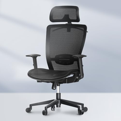 FLEXISPOT OC3 Ergonomic Office Chair with High Back Mesh, Black – 23" Depth, Single Lumbar