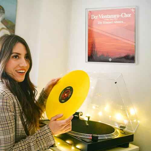TXEsign Vinyl Record Display Case, Acrylic Wall Mount Holder for 12-inch Vinyl Records, Album Record Shelf with Slide-in back Panel, Vinyl Record Wall Shelf