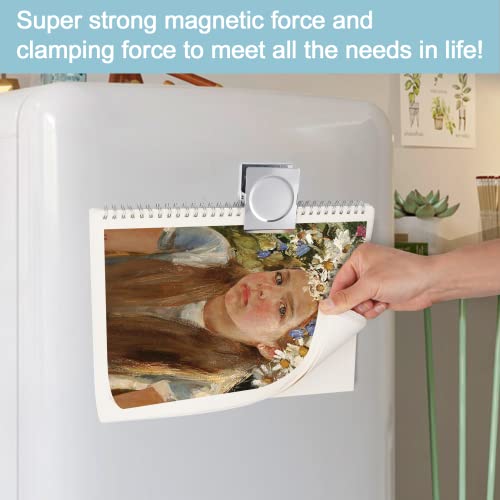 FINDMAG Silver Magnetic Clips, 4 Pack - Heavy-Duty Fridge & Office Clips
