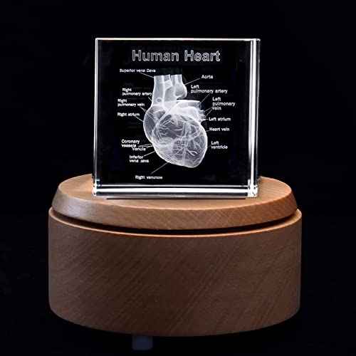 3D Human Heart with Labels Anatomical Model Paperweight(Laser Etched) in Crystal Glass Cube Science Gift (Included LED Base)