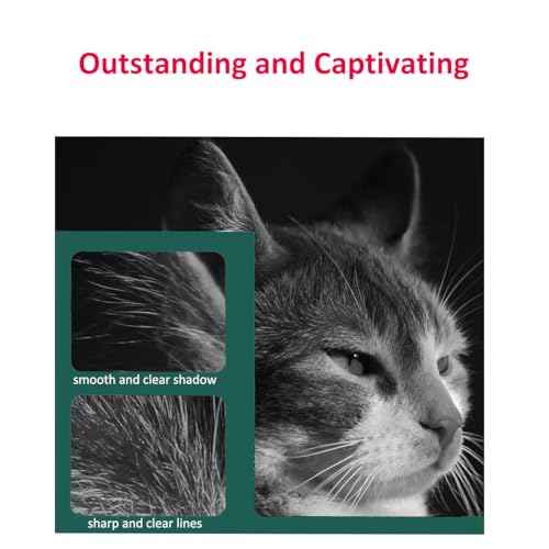 20N0W00 Waste Toner Box Replacement for Lexmark 20N0W00 for C2326 C3224dw C3326dw C3426dw CS331dw CS431dw CX331adwe CX431adw MC3224 MC3326 MC3426i Printer for xerox 008r13326 c230 c235 (2 Pack)