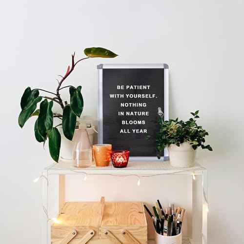 Enclosed Changeable Letter Boards Felt Message Board with Locking Door, Black, Aluminum Frame, 19X12 inches