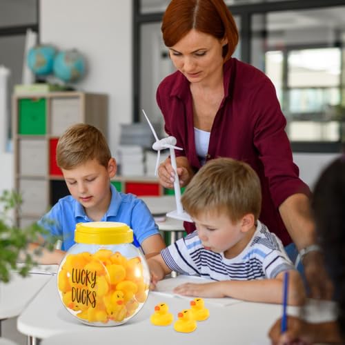 Classroom Lucky Ducks Set with Jar, Pen & Labels - Teacher Management Tool