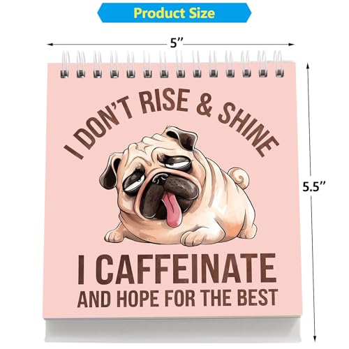 Funny Office Desk Signs - 30 Sarcastic Messages for Coworkers, Office Gifts