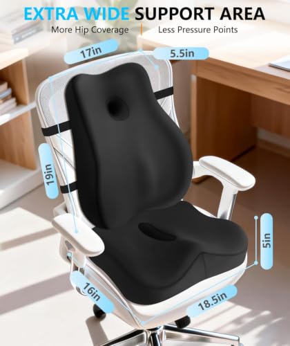 JIPORIER Black Lumbar Support Pillow & Memory Foam Seat Cushion for Office Chair