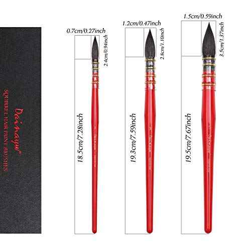 Dainayw Professional Watercolor Paint Brushes, Mop Round Squirrel Hair Paint Brush Set for Art Painting, Gouache, Artist Quality Supplies Red Handle (3 Brushes)
