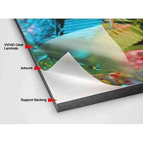 VViViD Clear Self-Adhesive Lamination Vinyl Roll for Die-Cutters and Vinyl Plotters (12" x 6ft)