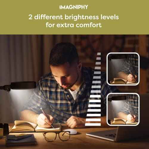 8X Desk Magnifying Light - Magnifying Glass for Reading and Crafts with 6 LEDs (No Glare, No Flickering) - Magnifying Lamp with Light and Stand, 2 Brightness Settings - Ideal for Seniors