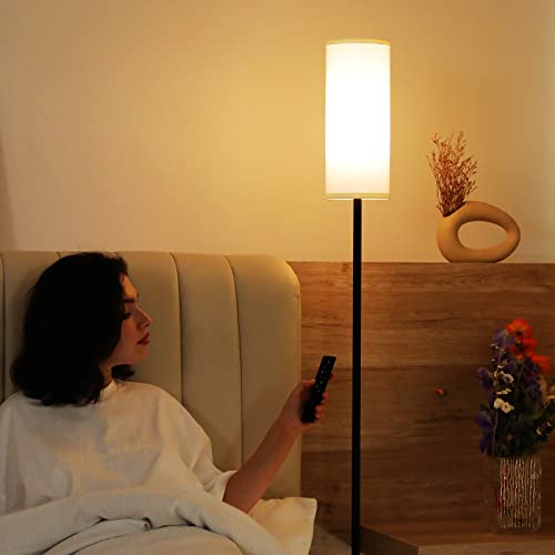 Ambimall 64-Inch White Modern Floor Lamp with Remote Control & Dimmable 9W Bulb