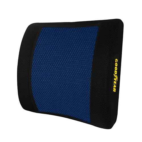 Goodyear Lumbar Support Pillow for Office Chair and Car Seat - Memory Foam Lumbar Pillow & Back Brace Support Posture Corrector, Lower Back Pain Relief